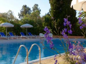 a swimming pool with blue chairs and purple flowers at La Villa Mandarine in Rabat