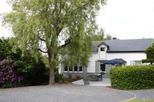 ein weißes Haus mit einem Baum und einer Terrasse in der Unterkunft La Petite Maison Maqua in Bouillon