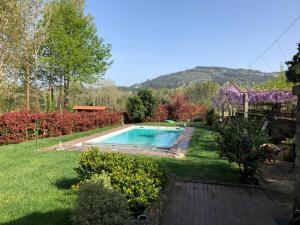un patio trasero con una piscina en el césped en The Olive Tree Country Home en Vila Verde
