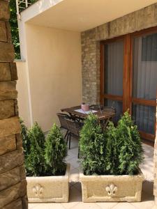 Vonkajšia záhrada v ubytovaní Nexus Apartmenthotel