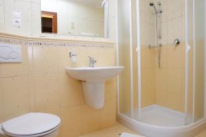 La salle de bains est pourvue d'un lavabo, de toilettes et d'une douche. dans l'établissement Hotel Majolika, à Modra