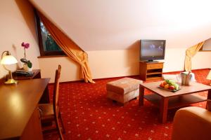 Televízia a/alebo spoločenská miestnosť v ubytovaní Hotel Majolika