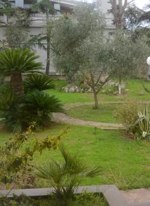 Zahrada ubytování B&B Villa Garden