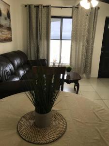 sala de estar con sofá y mesa con planta en Fantastic & Cozy #10: Condo Close to the Beach, en Ensenada