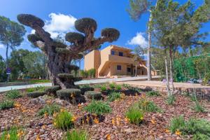 a tree in a garden in front of a building at Ses Eufabietes Apartments & Restaurant in Sant Francesc Xavier