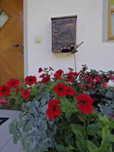 ガシュルンにあるAparthaus Biancaの赤花鉢