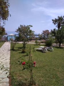 Vonkajšia záhrada v ubytovaní Palmyra Beachfront Studios