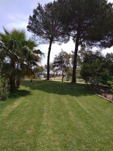 Vonkajšia záhrada v ubytovaní Palmyra Beachfront Studios