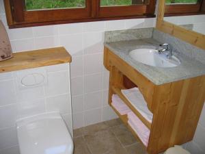 a bathroom with a sink and a toilet at Résidence Tournette in Le Grand-Bornand