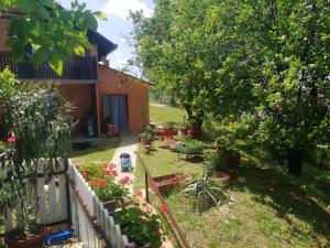 Taman di luar Guest House Jevtović