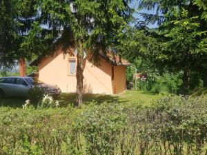 Taman di luar Guest House Jevtović