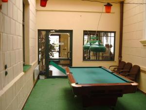 Stół bilardowy w obiekcie Hotel Alga