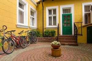 Jazda na bicykli v okolí ubytovania Hotel Alga