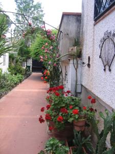 A garden outside Appartamento Vivaldi