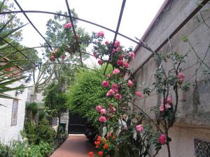 A garden outside Appartamento Vivaldi