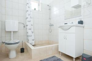 a bathroom with a toilet and a sink and a shower at Apartment Antonio in Vir +46 photos