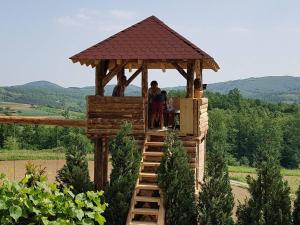 drewniana altana z dwoma osobami w obiekcie Etno domaćinstvo Milenković w mieście Despotovac