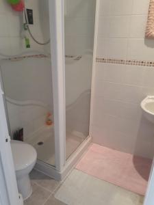 a bathroom with a shower and a toilet and a sink at Sawbridgeworth Bed & Breakfast in Sawbridgeworth