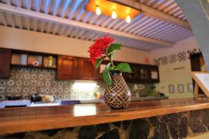 a vase with a red flower sitting on top of a counter at Hostal La Tortuga Booluda in León