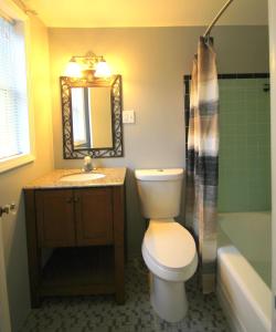 a bathroom with a toilet and a sink and a mirror at Mackinac Lake Trail Motel in Mackinaw City