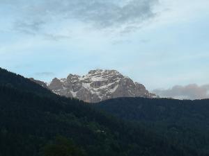 ピンツォーロにあるCasa nel verdeの森の中の雪山