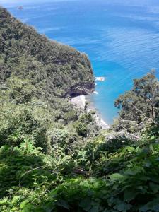 Un paisaje natural cerca de la casa vacacional