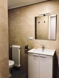 ログローニョにあるLa Terraza de Colónのバスルーム(洗面台、鏡、トイレ付)