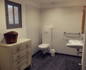 a bathroom with a toilet and a sink at Le Thé au Jardin in Saint-Julien-de-Civry