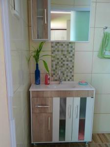 un lavabo con una maceta. en Residencial Recanto Paraíso BC - Flat en Balneario Camboriú