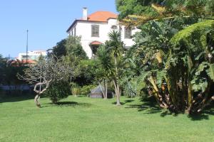 En have udenfor Jasmineiro - Palms Palace Apartment