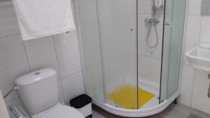 a bathroom with a shower and a toilet and a sink at SerendipitY DubrOvniK CentrE-Free parkinG in Dubrovnik +34 photos