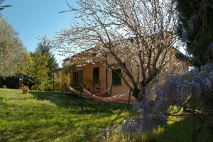 una casa con una hamaca en un patio con un árbol en Casa Elisabetta, en Montescudaio