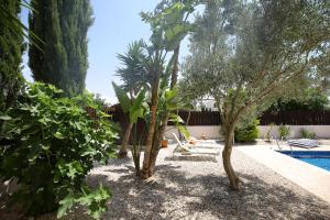 a yard with trees and a swimming pool at Unique Beach Luxurious Villas in Ayia Napa