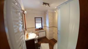 Kúpeľňa v ubytovaní Apartament Sokola Skała + 20 fotografií