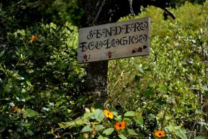 Příroda nedaleko bed and breakfast