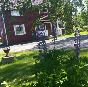 Zahrada ubytování Kallaxgårdshotel/apartment, Luleå + 17 fotografií
