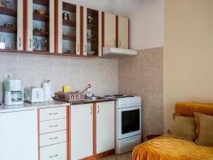 Virtuvė arba virtuvėlė apgyvendinimo įstaigoje Apartments Radonic