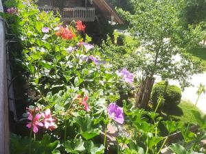 Giardino di Ferienwohnung Grubinger