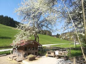 Paesaggio naturale nelle vicinanze dell'appartamento