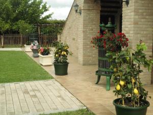 A garden outside Il Casale Della Fornace