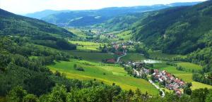 ein Dorf in einem Tal mit grünen Hügeln in der Unterkunft Schwarzwaldhaus in Elzach