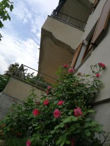 un edificio con rosas rosas frente a una torre del reloj en Simonetti Apartments Malinska, en Malinska