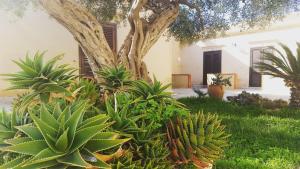 Vonkajšia záhrada v ubytovaní Baglio Cudia Resort