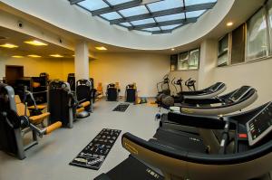 a gym with rows of treadmills and elliptical machines at Park Hotel & Spa Boyana in Sofia