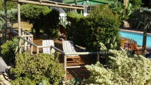 Πισίνα στο ή κοντά στο Birdsnest Guest Accommodation +20 φωτογραφίες