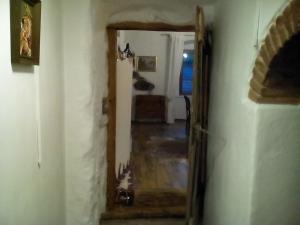 Fotografia z galérie ubytovania Appartement Donaustrand v destinácii Bergern