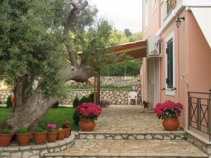 a courtyard with a tree and flowers in pots at Esperia Studios in Tsoukalades