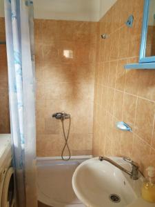 a bathroom with a shower and a sink and a tub at Apartmani Lakicevic in Žabljak
