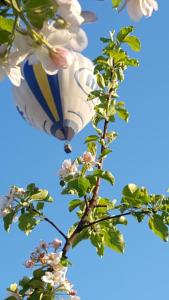 Ein Drachen fliegt über einem Baum in der Unterkunft Панівецька Садиба in Zyubrovka