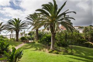 a palm tree in a park with green grass at Brookes Hill Private Suite in Port Elizabeth